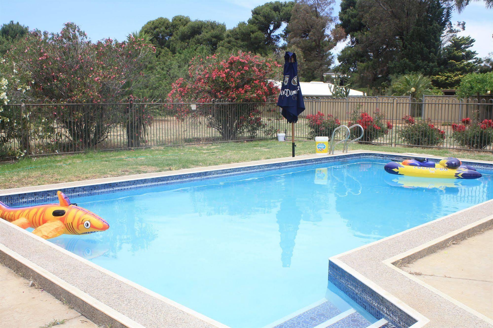 Angaston Vineyards Motel Extérieur photo