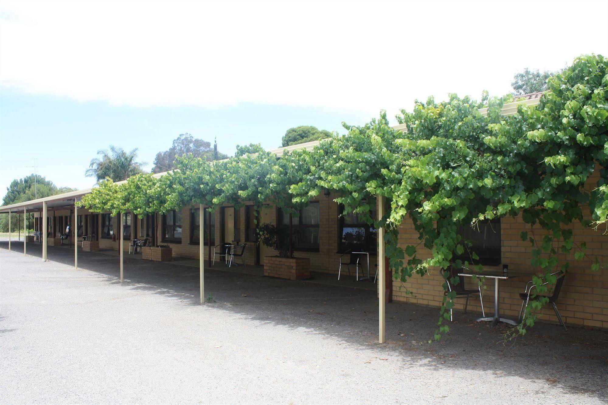 Angaston Vineyards Motel Extérieur photo