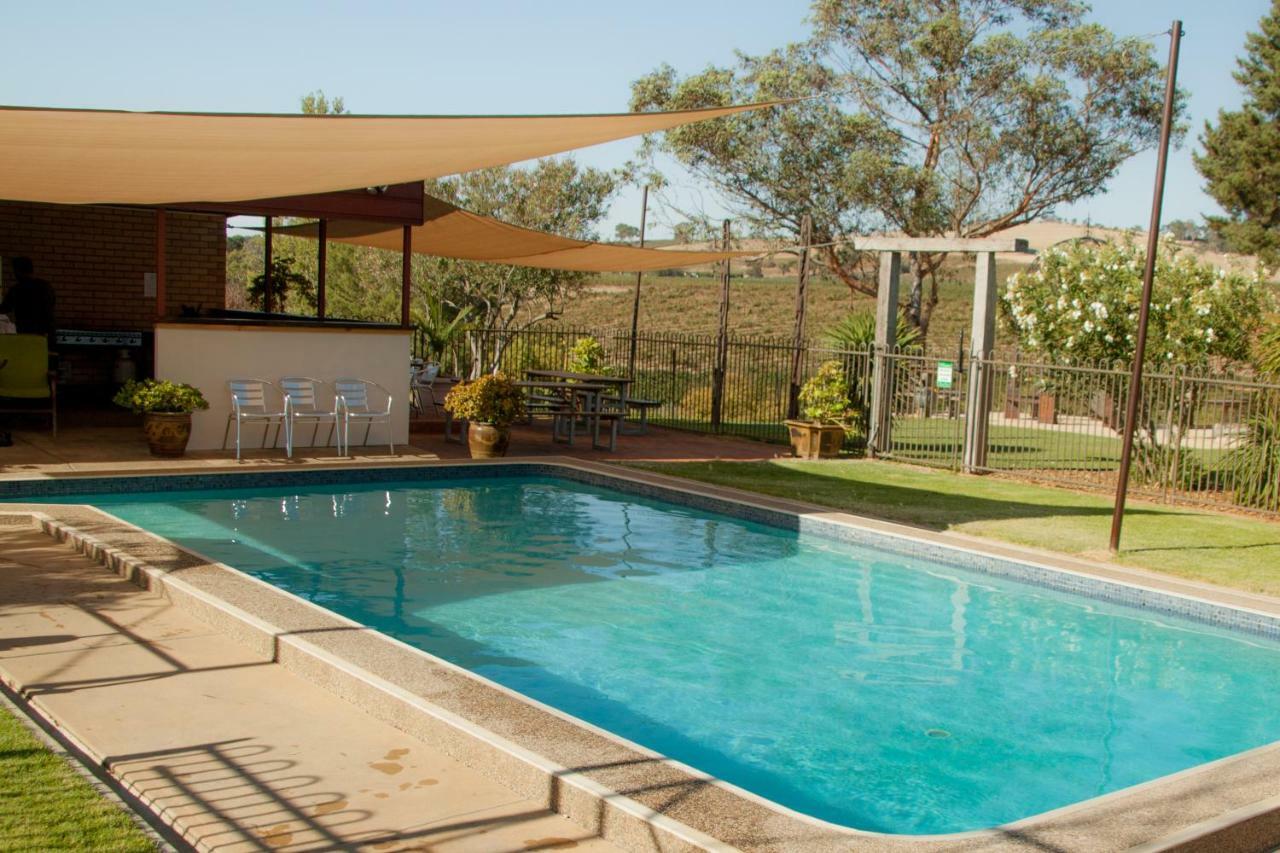 Angaston Vineyards Motel Extérieur photo