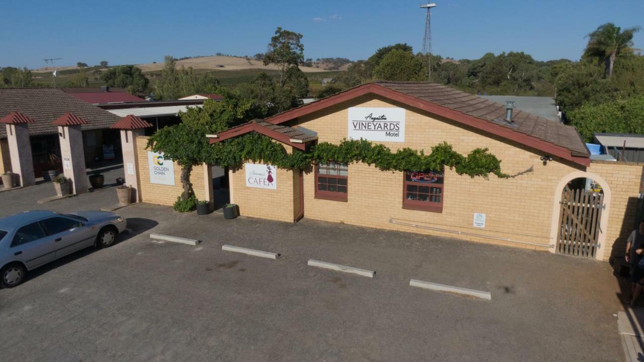 Angaston Vineyards Motel Extérieur photo