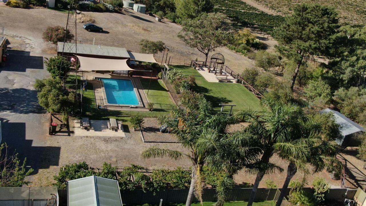Angaston Vineyards Motel Extérieur photo